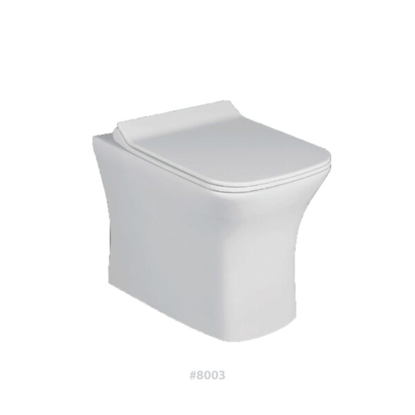 P4® Ceramic Wall Closet Commode Hanging #8003